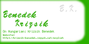 benedek krizsik business card